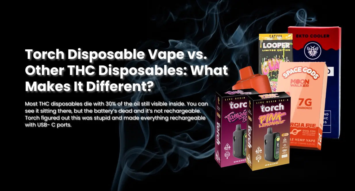 Torch Disposable Vape vs. Other THC Disposables: What Makes It Different?