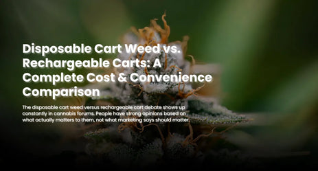 Disposable Cart Weed vs. Rechargeable Carts: A Complete Cost & Convenience Comparison