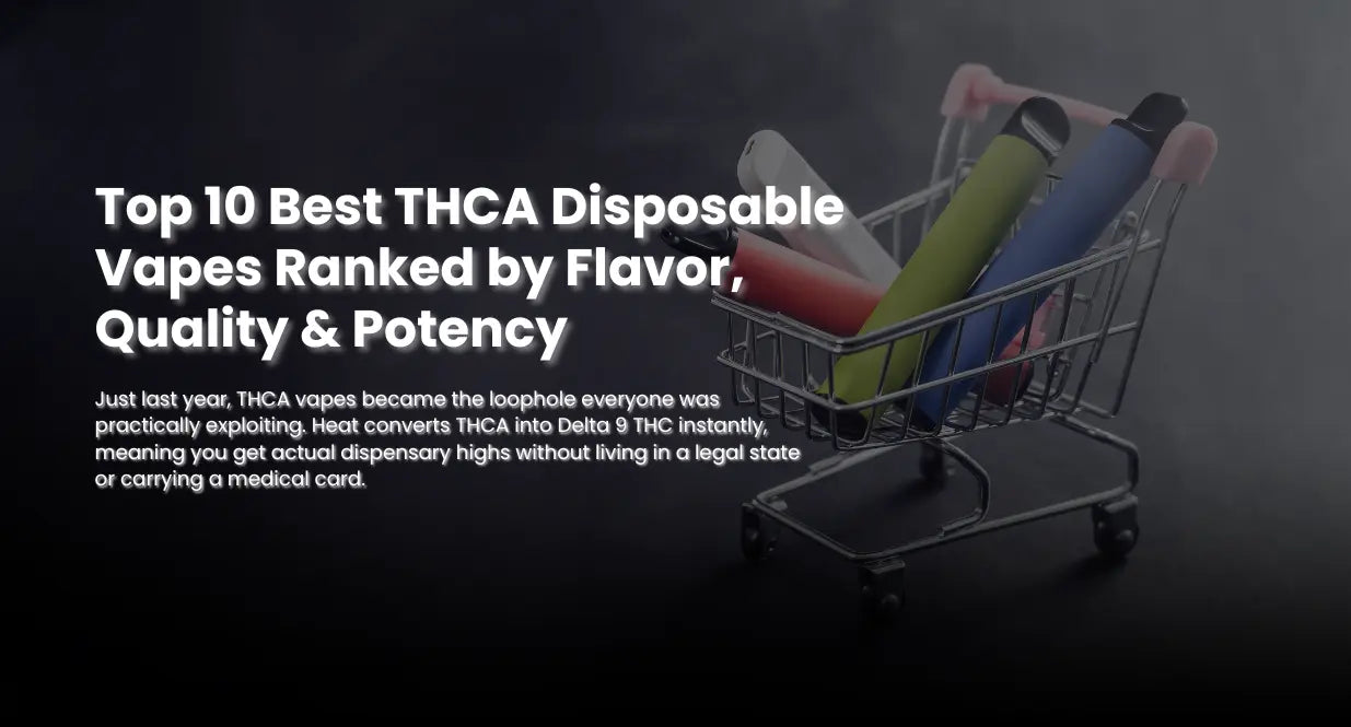 Top 10 Best THCA Disposable Vapes | Flavor, Potency & Quality Ranked Top 10 Best THCA Disposable Vapes | Flavor, Potency & Quality Ranked