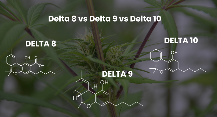 Delta 8 vs Delta 9 vs Delta 10 – Which One Is Right for You?