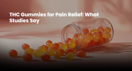 THC Gummies for Pain Relief: What Studies Say