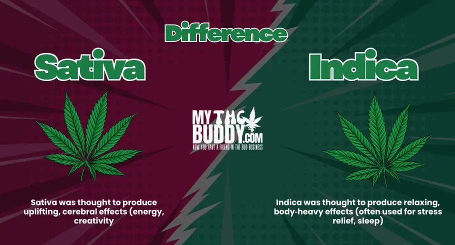 Difference Between Indica vs Sativa Gummies: What You Need to Know Before You Choose