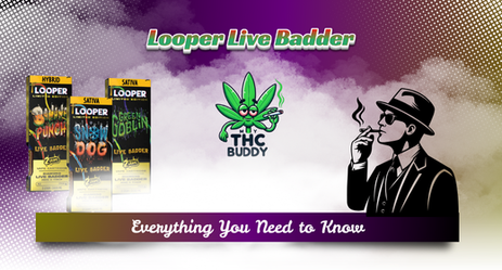 What is Looper Live Badder? Everything You Need to Know