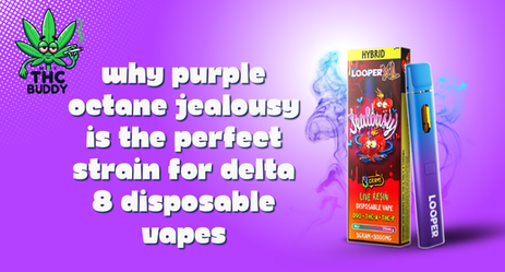 Why Purple Octane Jealousy Is the Perfect Strain for Delta 8 Disposable Vapes
