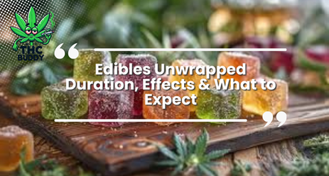 Edibles Unwrapped &#8211; Duration, Effects &#038; What to Expect