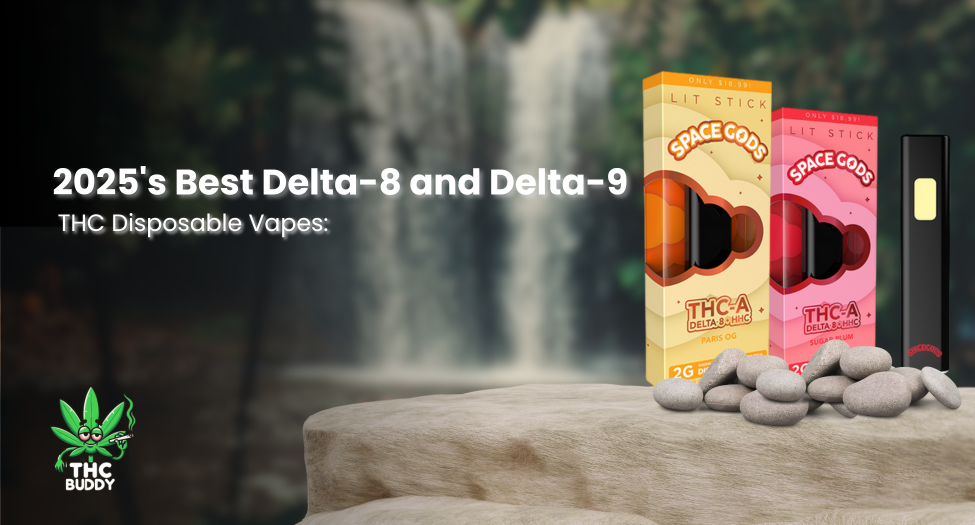Guide to 2025's Top Delta-8 & Delta-9 Disposable Vapes Guide to 2025's Top Delta-8 & Delta-9 Disposable Vapes
