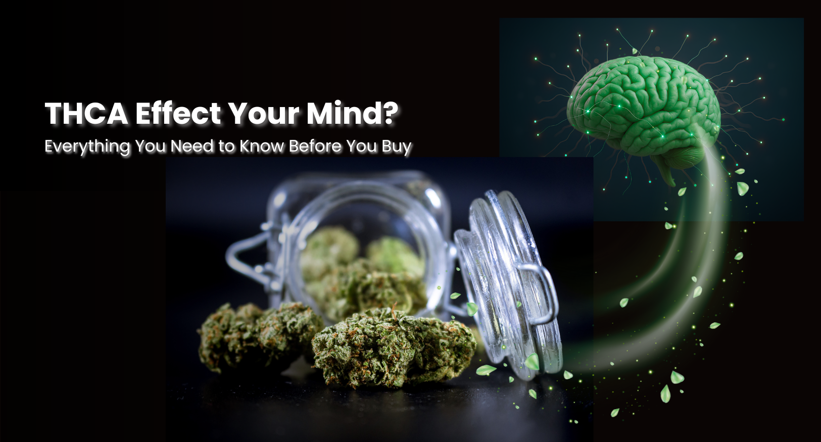 Does THCA Effect Your Mind? Everything You Need to Know Before You Buy
