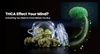 Does THCA Effect Your Mind? Everything You Need to Know Before You Buy
