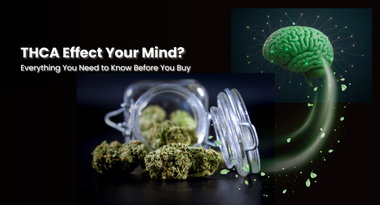 Does THCA Effect Your Mind? Everything You Need to Know Before You Buy