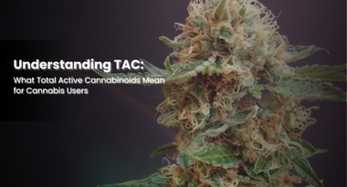 Understanding TAC: What Total Active Cannabinoids Mean for Cannabis Users