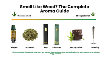 Do Delta 8 Vape Carts Smell Like Weed? The Complete Aroma Guide