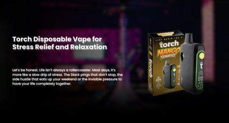 Torch Disposable Vape for Stress Relief and Relaxation