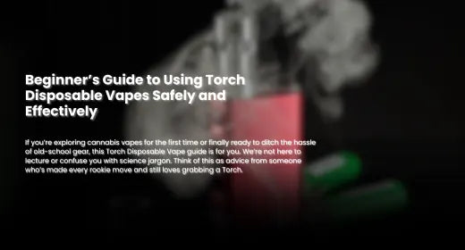 Beginner’s Guide to Using Torch Disposable Vapes Safely and Effectively
