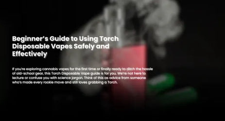 Beginner’s Guide to Using Torch Disposable Vapes Safely and Effectively