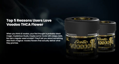 Top 5 Reasons Users Love Voodoo THCA Flower