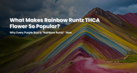 What Makes Rainbow Runtz THCA Flower So Popular?