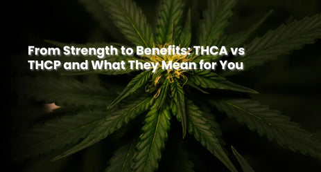 From Strength to Benefits: THCA vs THCP and What They Mean for You
