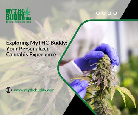 Exploring MyTHCBuddy: Your Personalized Cannabis Experience