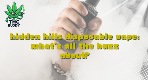 Hidden Hills Disposable Vape: Whats All the Buzz About?