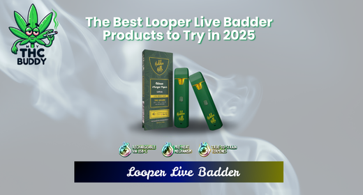 The Best Looper Live Badder Products to Try in 2025