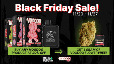 Black Friday Sale