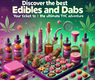 Discover the Best Edibles and Dabs at MyTHCBuddy -Your Ticket to the Ultimate THC Adventure