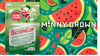 Savor the Summer Anytime: Minny Grown Watermelon THC Gummies