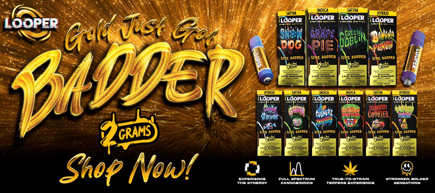 Looper Live Badder Review