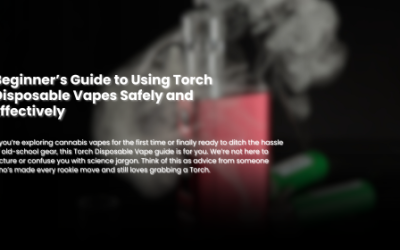 Beginner’s Guide to Using Torch Disposable Vapes Safely and Effectively