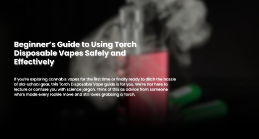 Torch Disposable Vapes