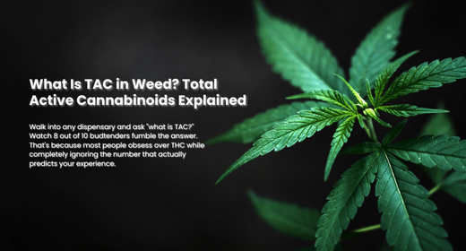 what is TAC