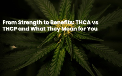 From Strength to Benefits: THCA vs THCP and What They Mean for You
