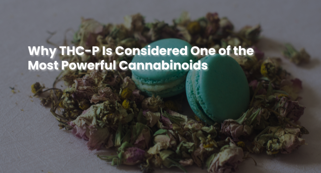 Why THC-P Is Considered One of the Most Powerful Cannabinoids | MyTHCBuddy.com THC-P