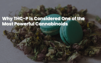 Why THC-P Is Considered One of the Most Powerful Cannabinoids